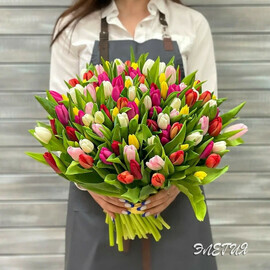 Bouquet of 101 tulips mix