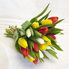 Bouquet of 25 tulips Mix