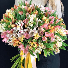 Букет из 101 альстромерии микс