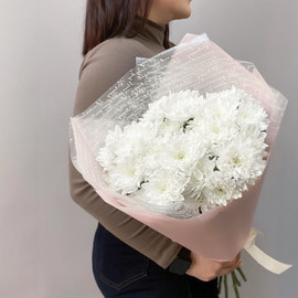 Bouquet of 5 white bush chrysanthemums in designer design 45 cm