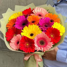 Bouquet of 15 gerberas mixed with greenery in designer design 50 cm