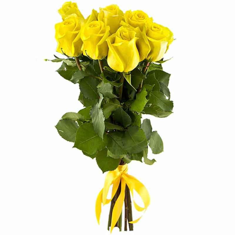 Bouquet of 7 yellow roses 50 cm Ecuador, buket iz 7 zheltih roz 50 sm ekvador