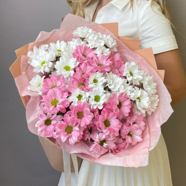 Букет из 7 бело-розовых хризантем кустовых в дизайнерском оформлении 48 см