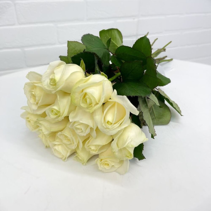 вип проститутки екатеринбург