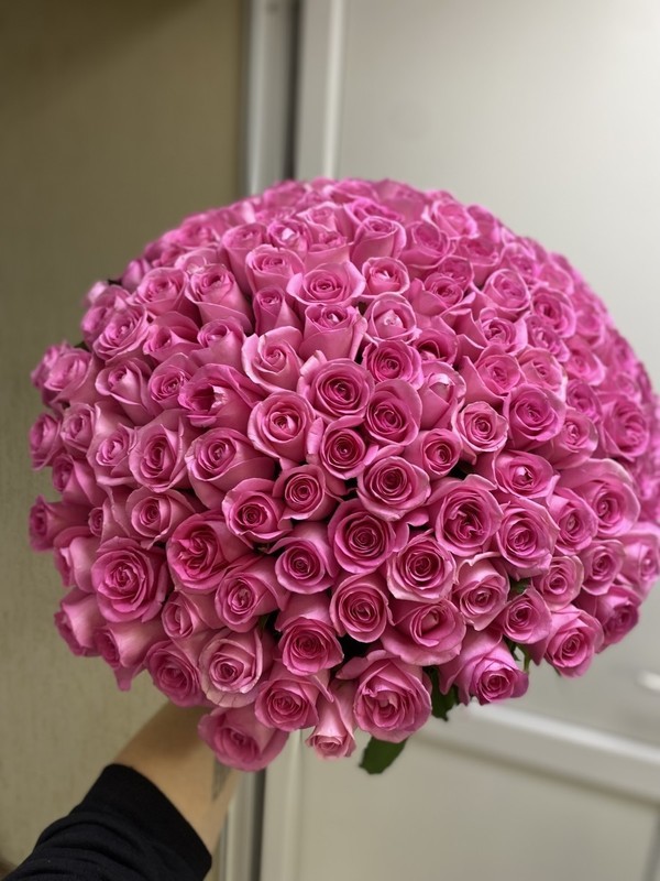 101 розовая роза, 101 розовая роза