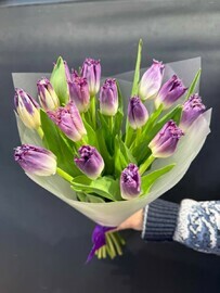 tyul_pan 15 shtuk sirenevij