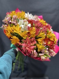 Букет из 25 альстромерий