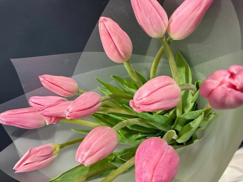 tyul_pan 15 shtuk rozovij, tyul_pani 15 shtuk rozovij