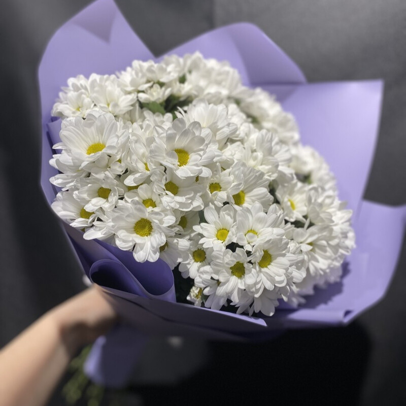 Bouquet of 9 bush chrysanthemums, buket iz 9 kustovih hrizantem