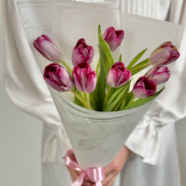 Fioletovie Tyul_pani