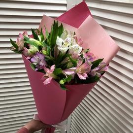 Babochki: 5 al_stromerij