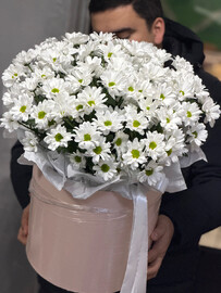 Огромная коробка с хризантемами 