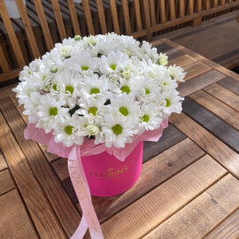 Коробочка с ромашками