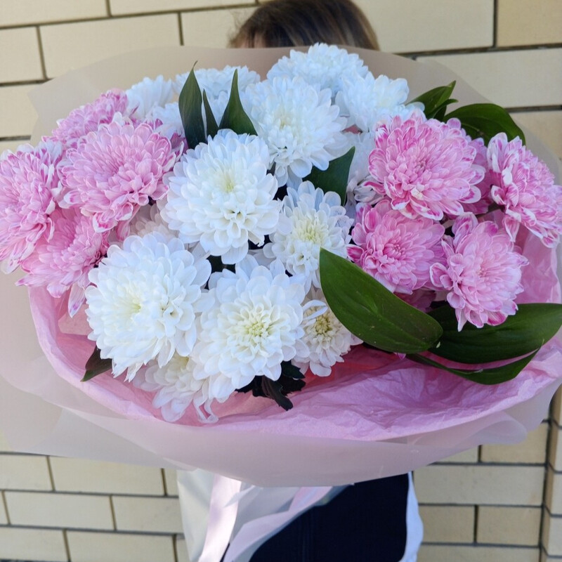 Вивъелла, делюкс