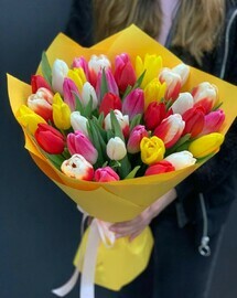 35 разноцветных тюльпанов