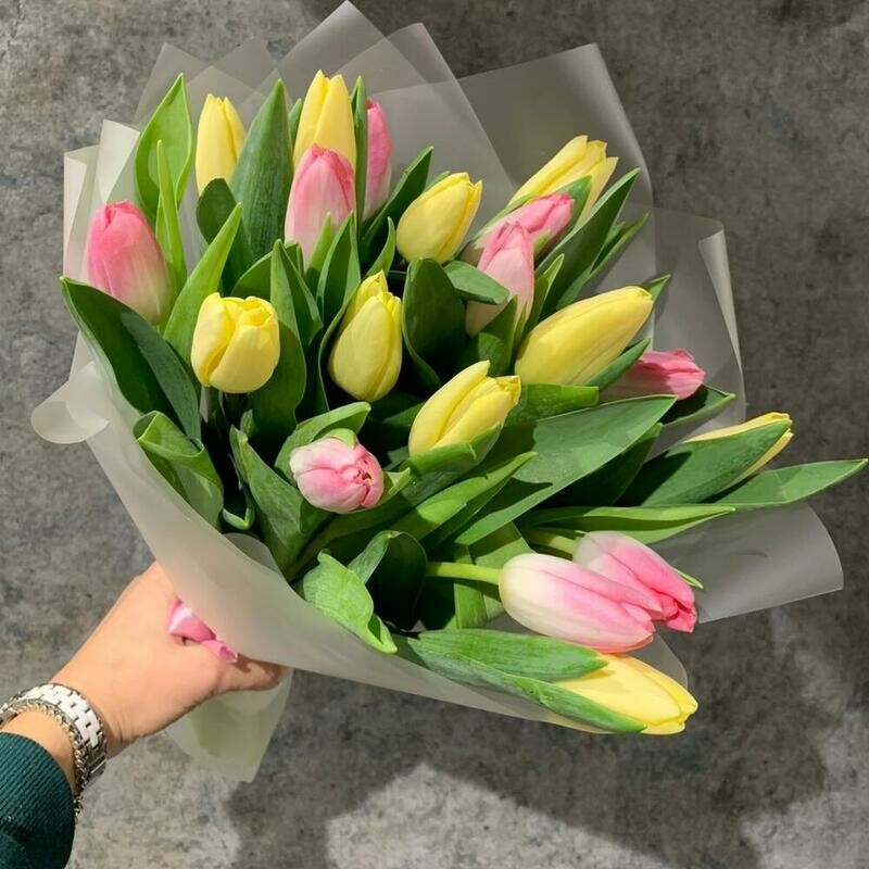 Яркие тюльпаны, стандартный