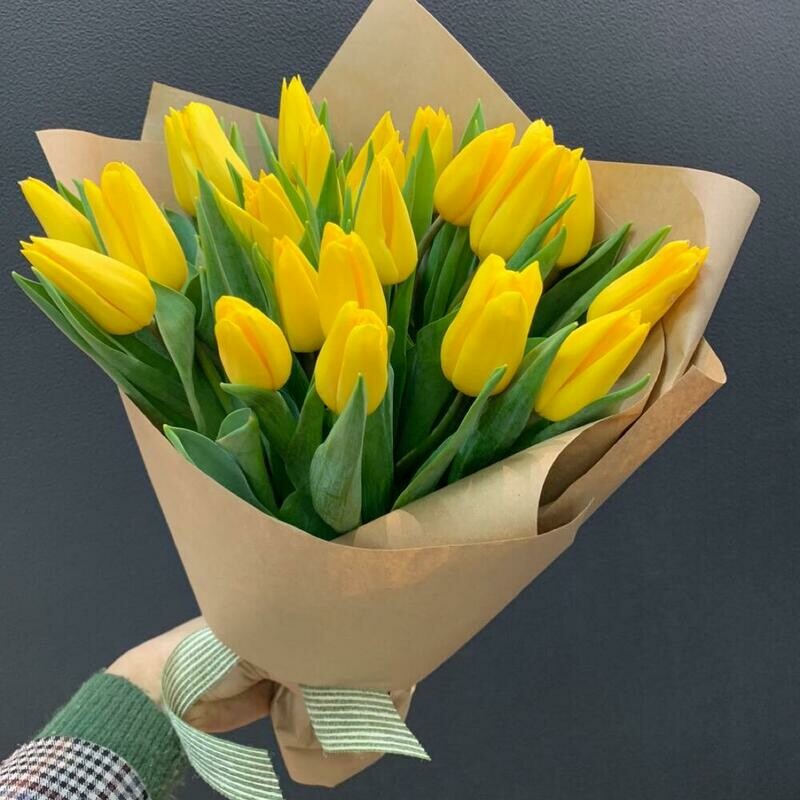 Желтые тюльпаны, стандартный