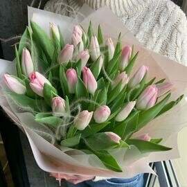 Розовая мечта