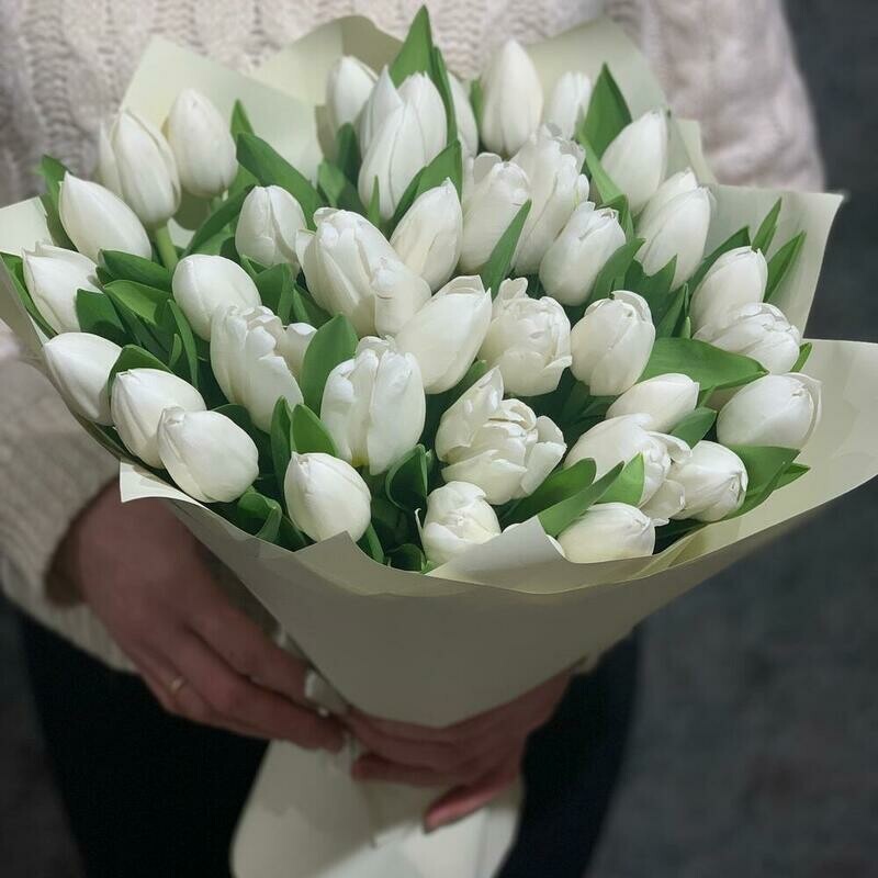 Белый лебедь, стандартный