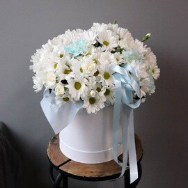 Ромашки для любимой