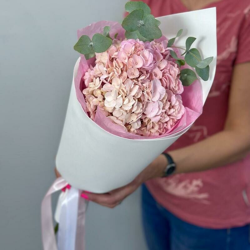 Rozovaya gortenziya s evkaliptom, standart