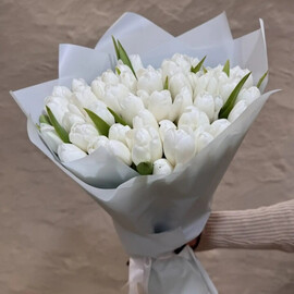 Buket iz tyul_panov " Belosnezhka "