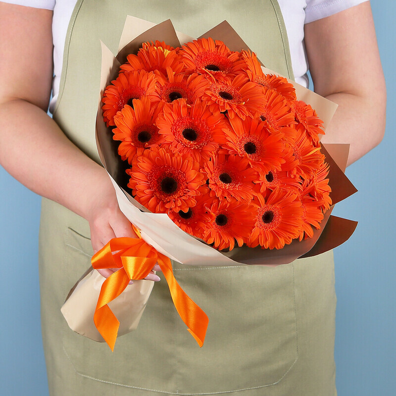 Оранжевые Герберы, стандартный