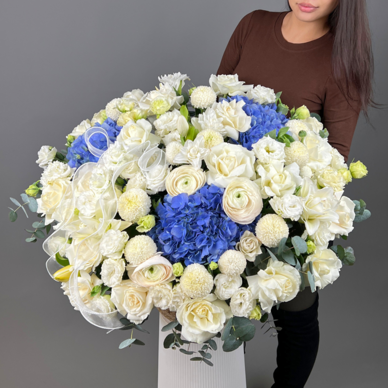 Goluboj aktcent, standart