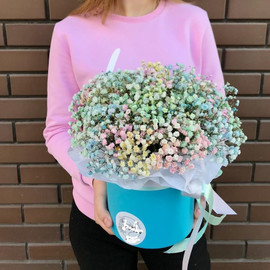 Радужная гипсофила