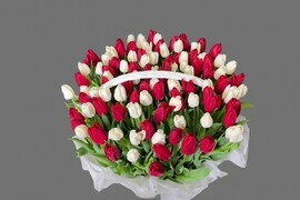 101 krasnij i belij tyul_pan v beloj korzine — roskoshnaya prazdnichnaya kompozitciya