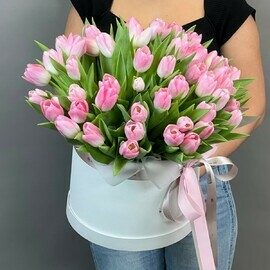 Korobka Volshebnaya iz 51 l_pan