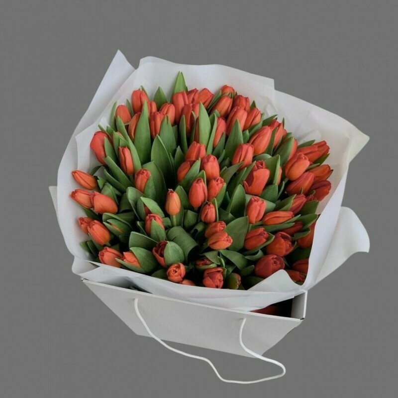 75 тюльпанов в Аква боксе , стандартный