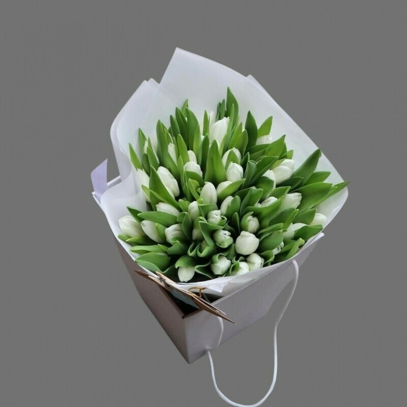 Тюльпаны 51 в Аква боксе , стандартный