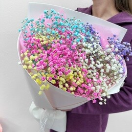 Букет из радужных гипсофил 5 шт