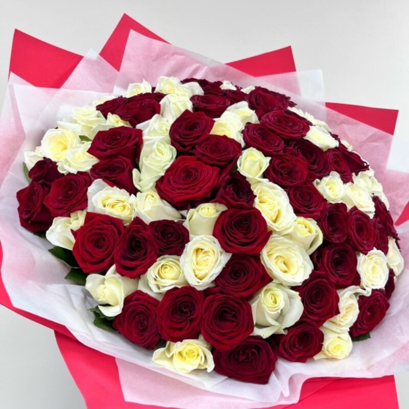 Buket 101 krasnaya i belaya Roza, premium