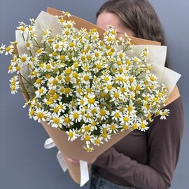 Букет из кустовых ромашек 9 штук