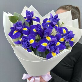 Bouquet of irises and eucalyptus