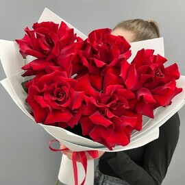 Bouquet of 5 French roses