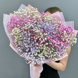 Bouquet of gypsophila