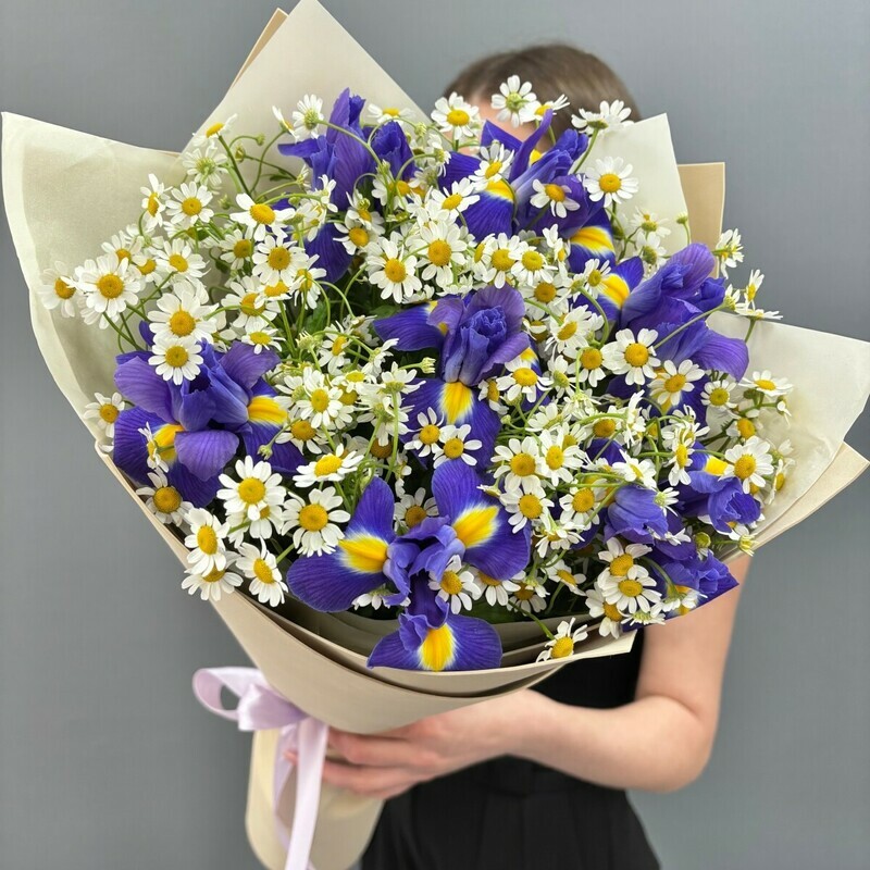 Bouquet of irises and chamomile bushes, standart