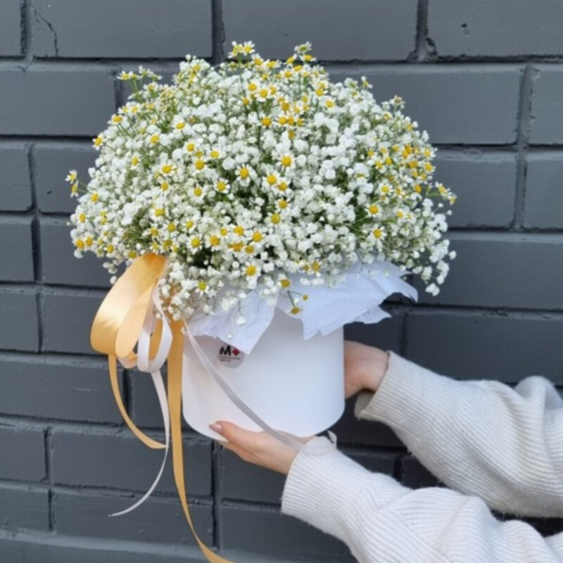 Kompozitciya "Molekula vozduha", standart