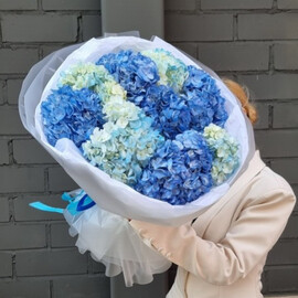 Buket "Molekula golubiki"