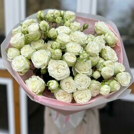 9 pionovidnih kustovih roz Premium