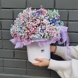 Kompozitciya "Molekula radugi"