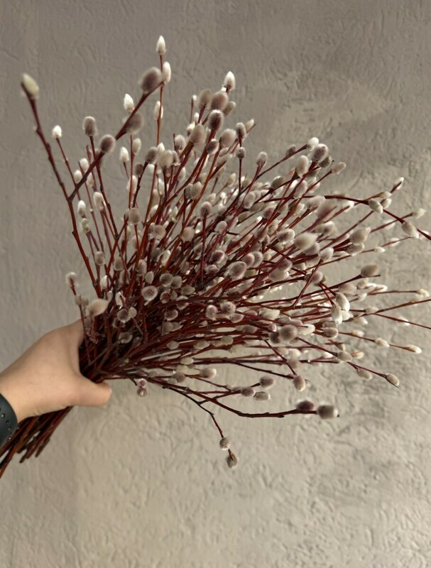 Buket iz Verbi na Pashu, buket iz verbi na pashu