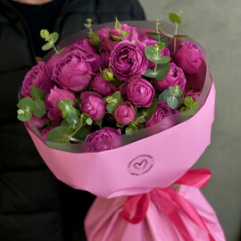 Малиновый бум 