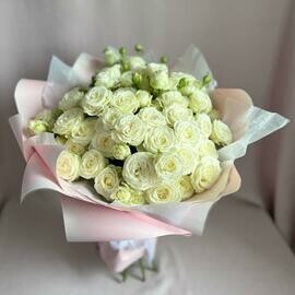 15 kustovih pionovidnih roz Miss bombastik