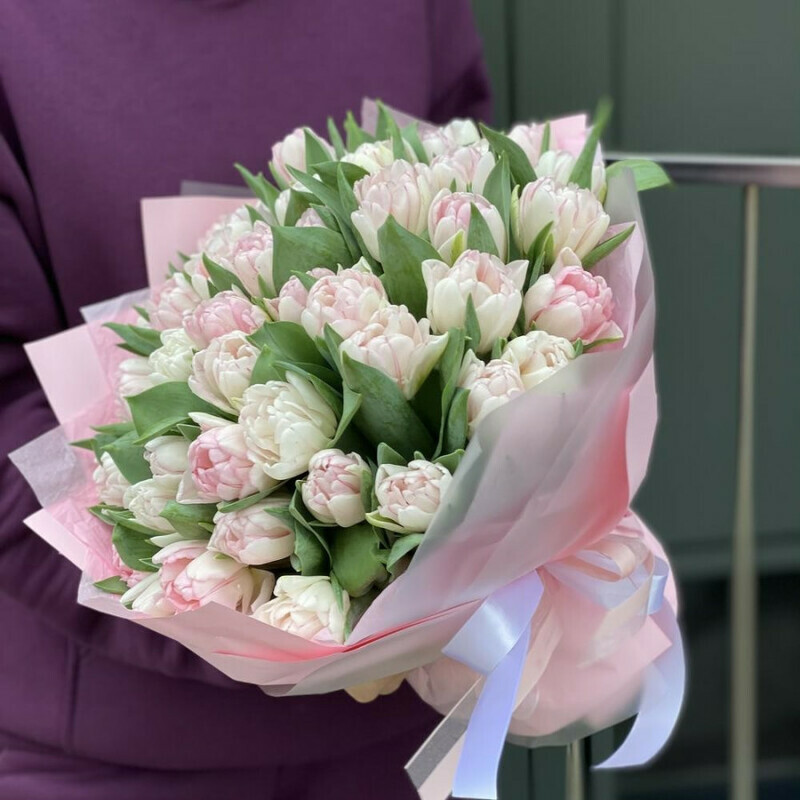 51 peony tulips, standart