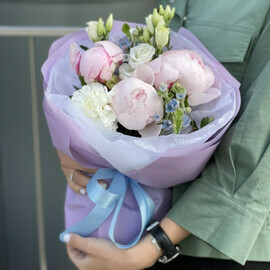 Мелиса Мини