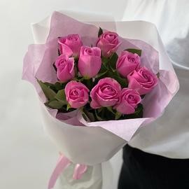 Roza rozovaya Keniya 9